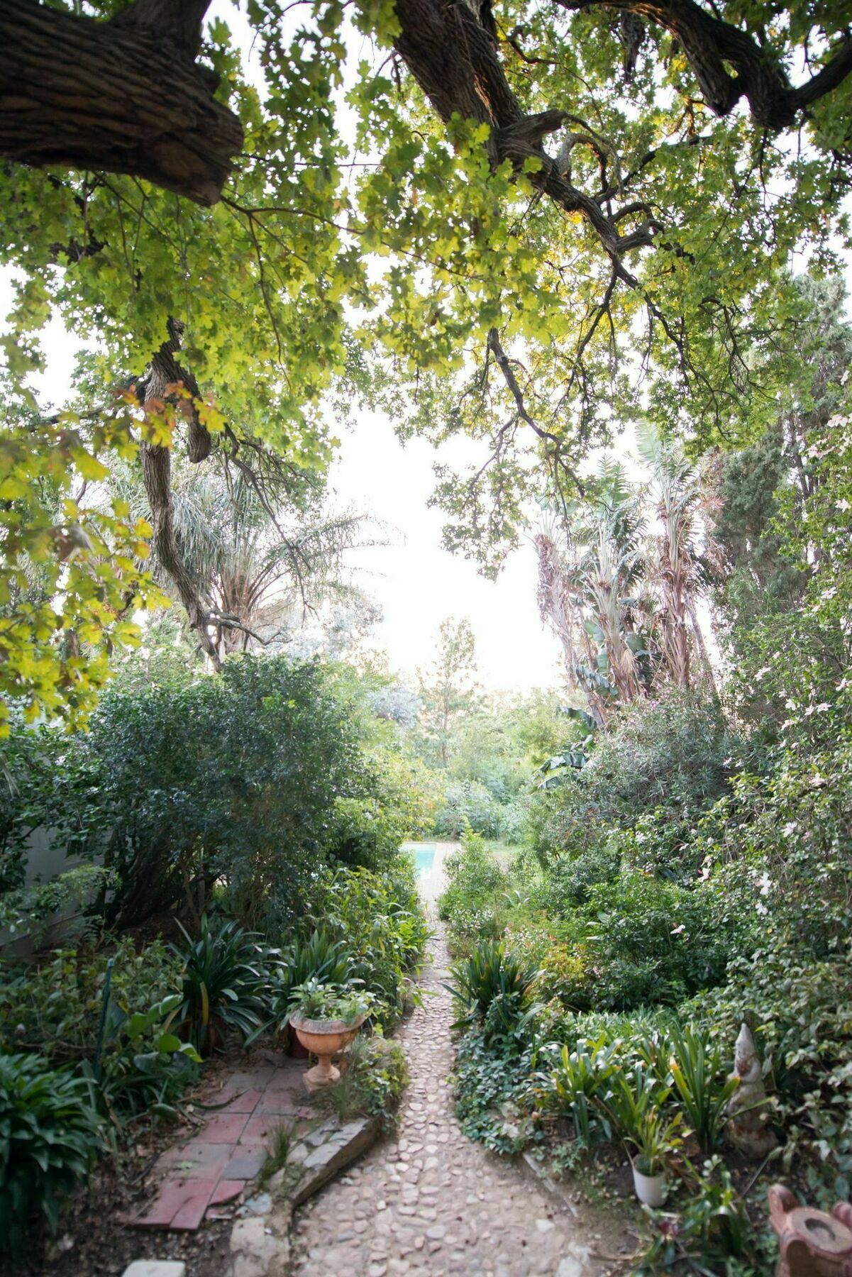 Tulbagh Country Guest House - Cape Dutch Quarters Екстериор снимка